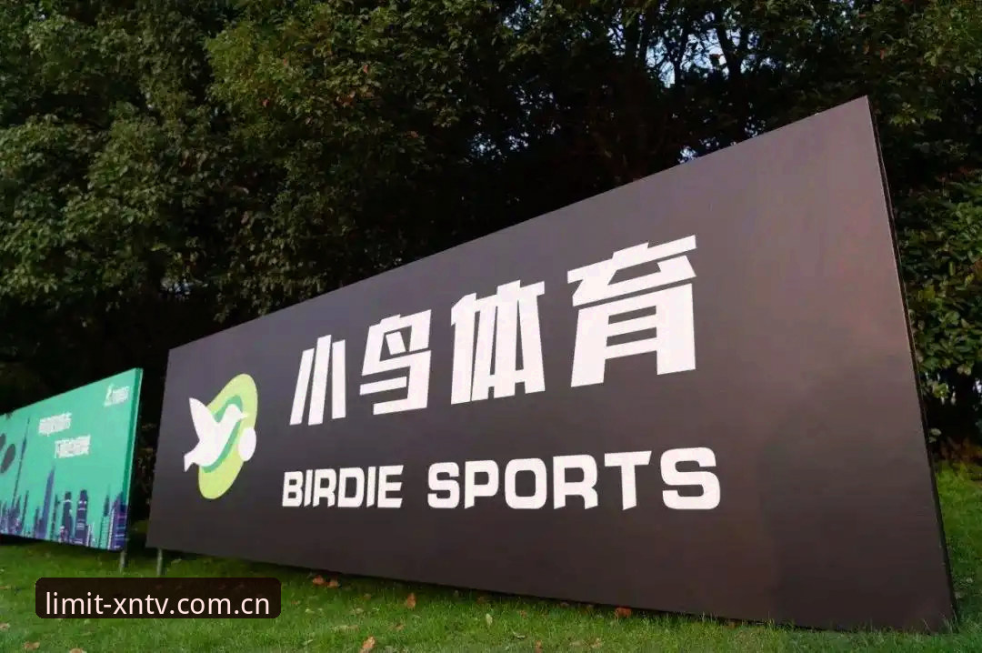 下载前必看的7项实测数据：小鸟体育官方下载怎么样